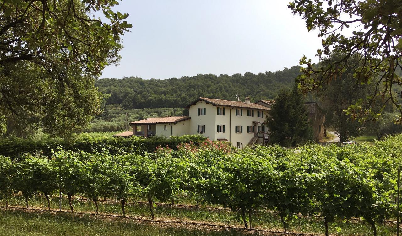 Agriturismo Ca' Castellani Бардолино Экстерьер фото